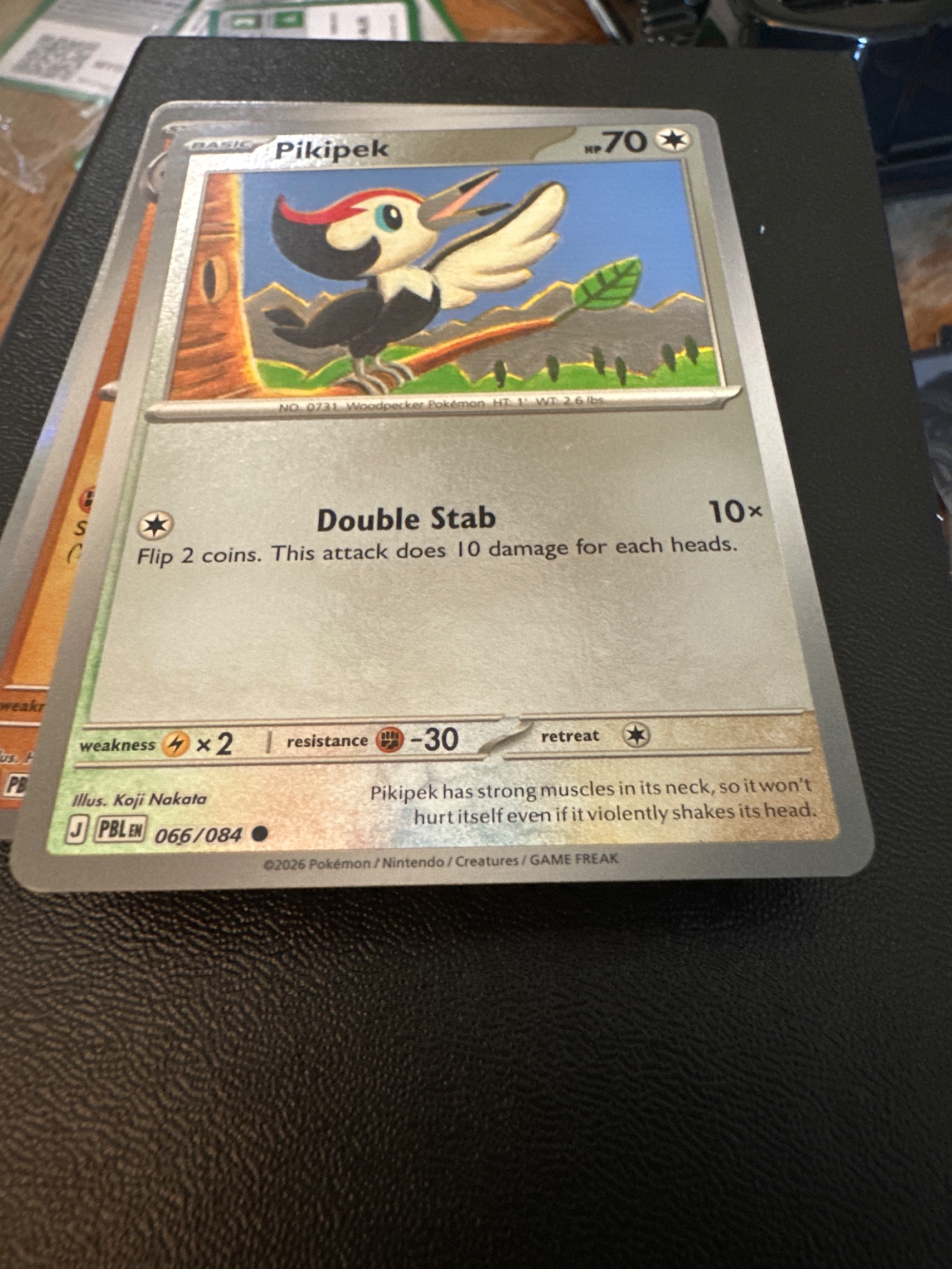 Pikipek